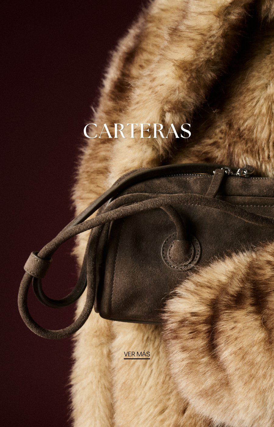 Imagen de diapositiva