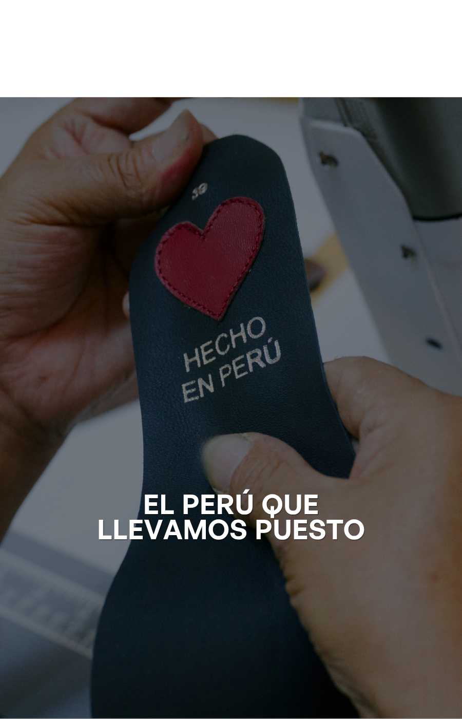 Imagen de diapositiva
