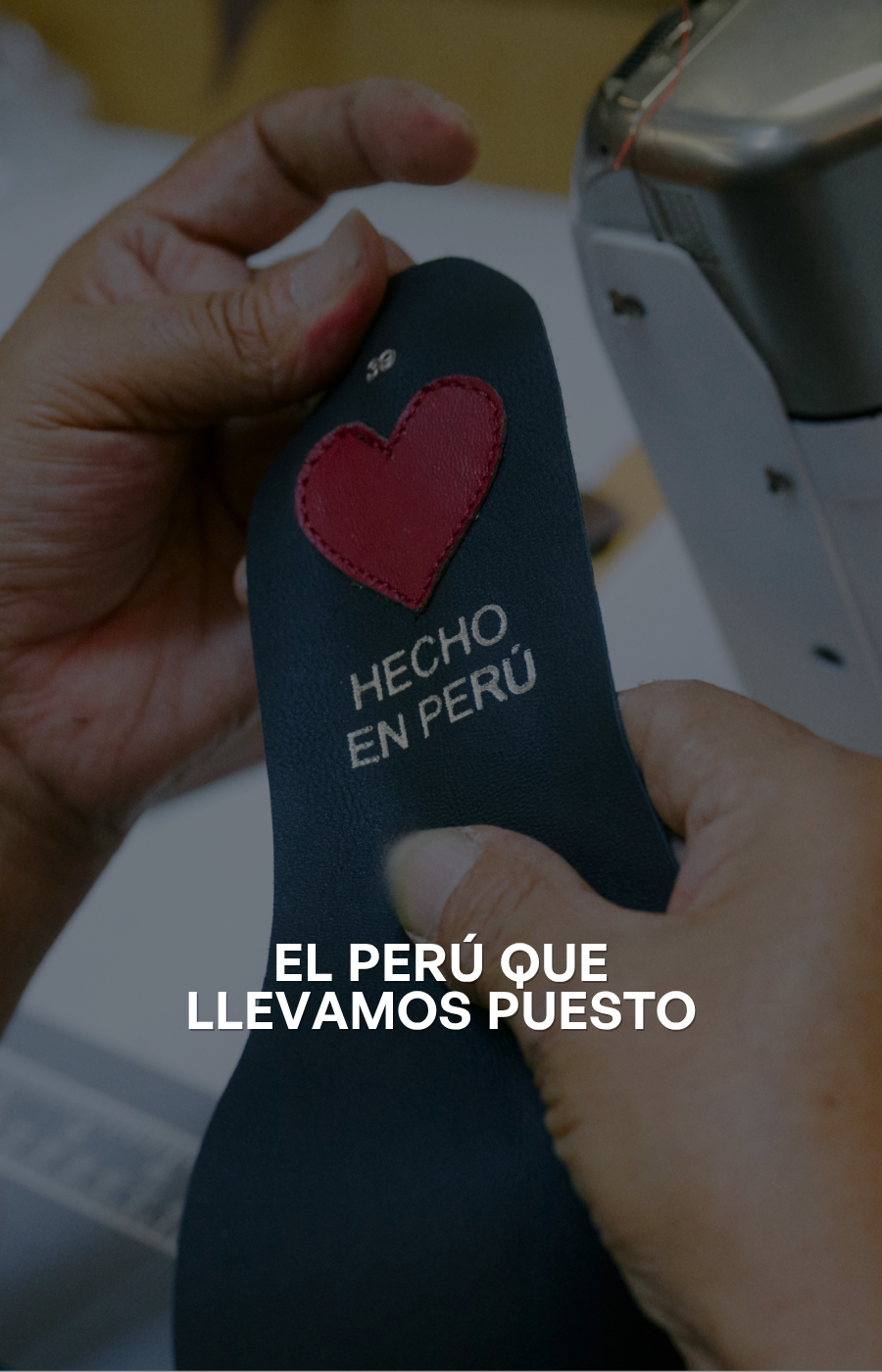 Imagen de diapositiva