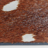 ZAPATO BRUNE - BAMBI